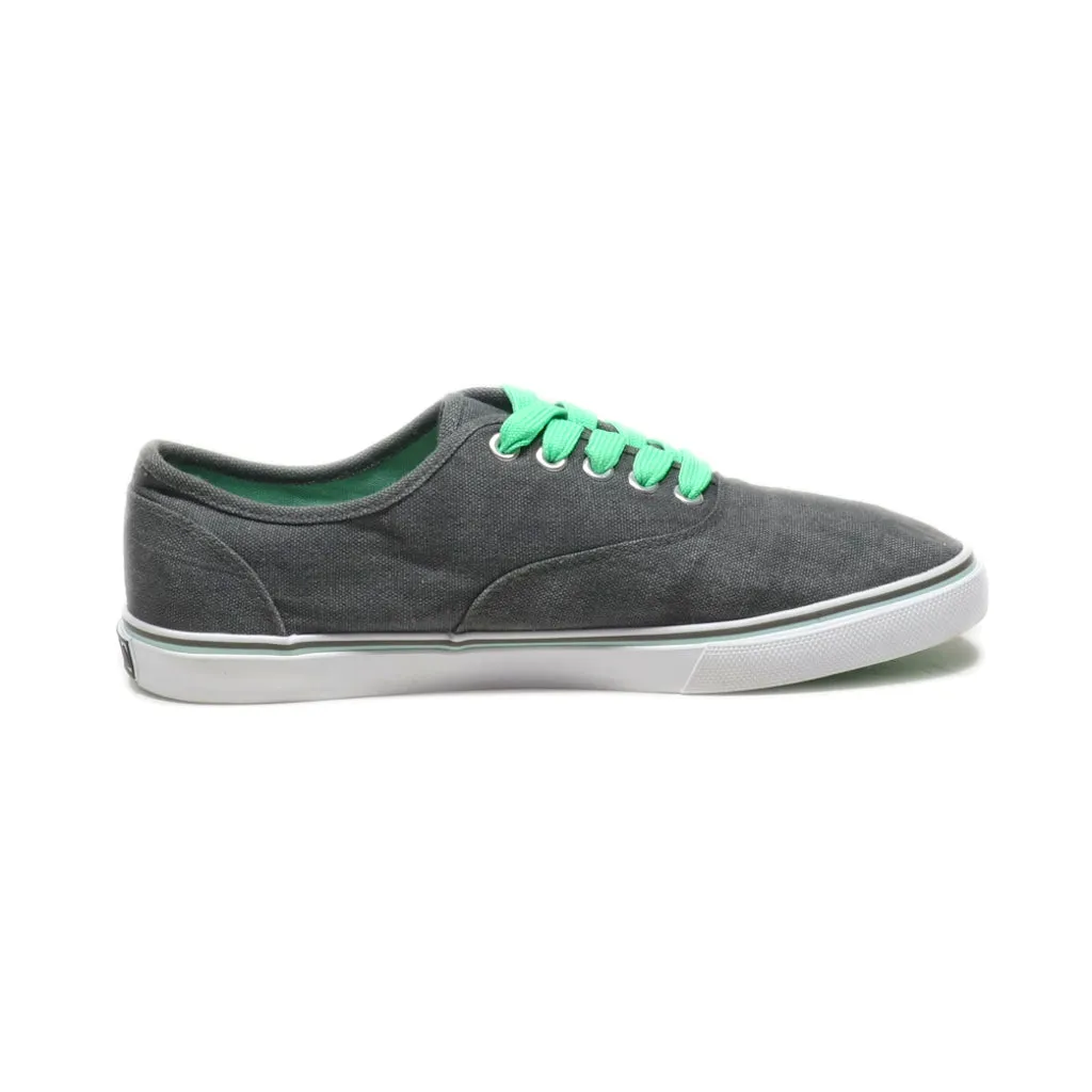 Fila Lace Ups Canvas Grey Colour For Women