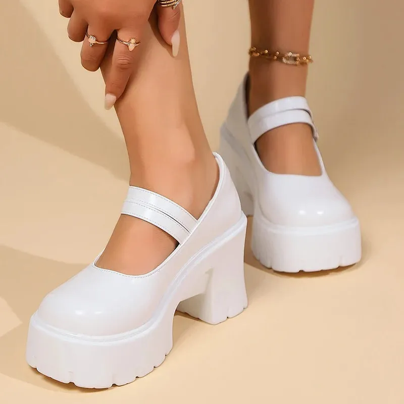 Hnzxzm High Heels Chunky Mary Jane Shoes for Women 2024 Vintage Buckle Strap Platform Pumps Woman Pu Leather Thick Heeled Lolita Shoes